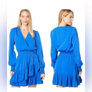 Lilly Pulitzer Cristiana Dress Long Sleeves Ikat Blue Leopard Ruffle Size 2
